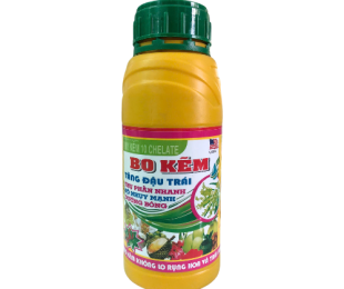 bo-kem-tang-dau-trai